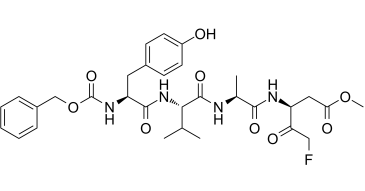 Z-YVAD-FMK 210344-97-1